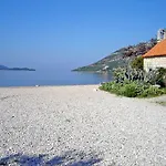 Balota